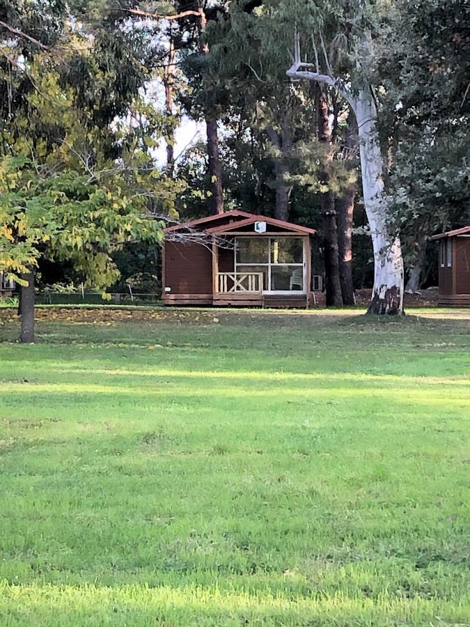 Camping L'Oso Porto-Vecchio  Exteriér fotografie