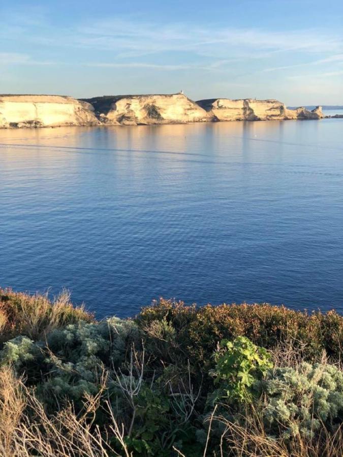 Camping L'Oso Porto-Vecchio  Exteriér fotografie