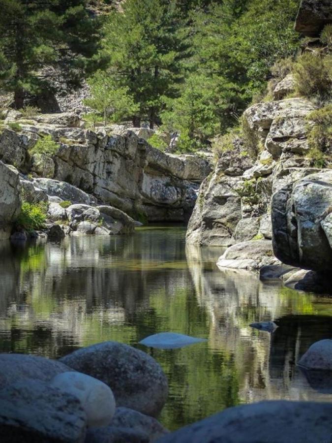 Camping L'Oso Porto-Vecchio  Exteriér fotografie