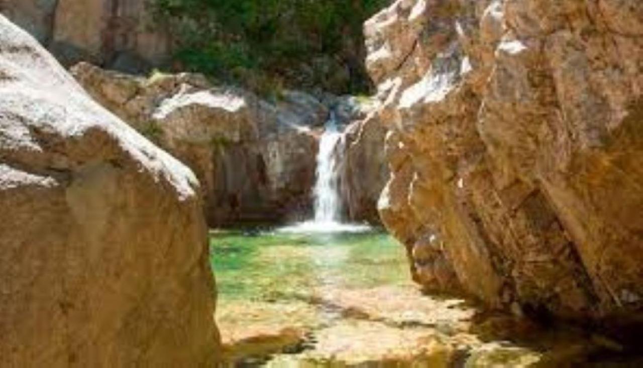 Camping L'Oso Porto-Vecchio  Exteriér fotografie